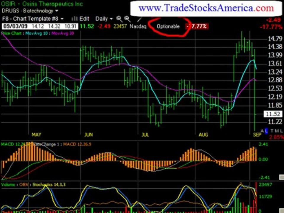 Stock Market Video Reports