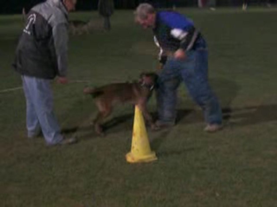 etie des plaines de thiérache (à 6 mois)