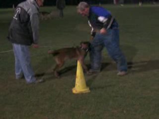 etie des plaines de thiérache (à 6 mois)