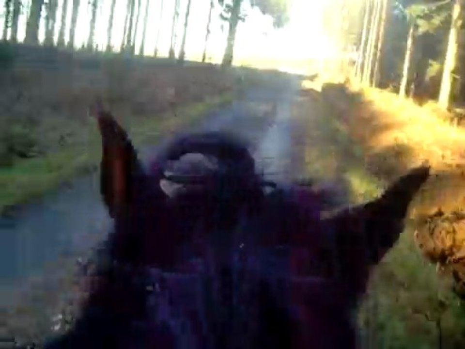 Balade R0mé0 & Rumba gal0p + tr0t