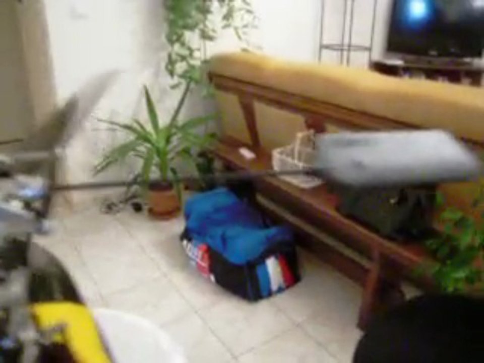 frein champignon raptor 50