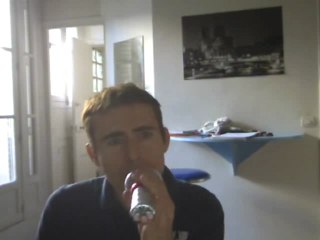 Wiwi égratigne "le roi des fourmis"