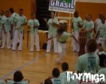 capoeira brasil anglet solo 2