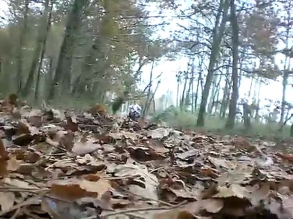 Quad 110cc