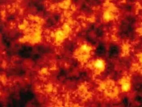 How To Remove Personal Guard - Personal Guard Removal