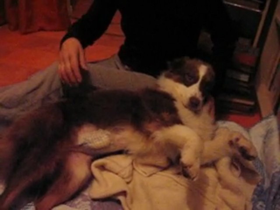 Dako chez Martine - 1