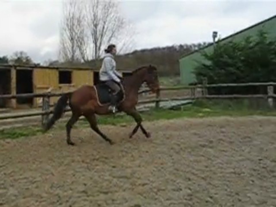guapy 28.11.2009
