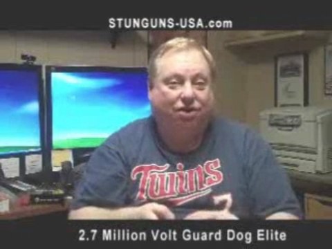 Small Stungun Mini Self Defense Stun Gun Cheetah Stunguns