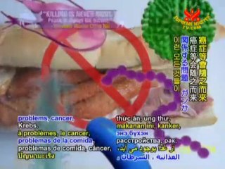 Yogi Cameron: A Journey of Self-Awakening P2/3