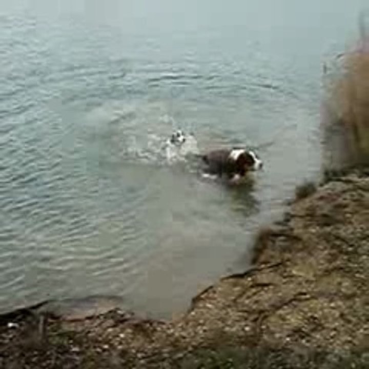 Estive découvre l'eau...et plouf