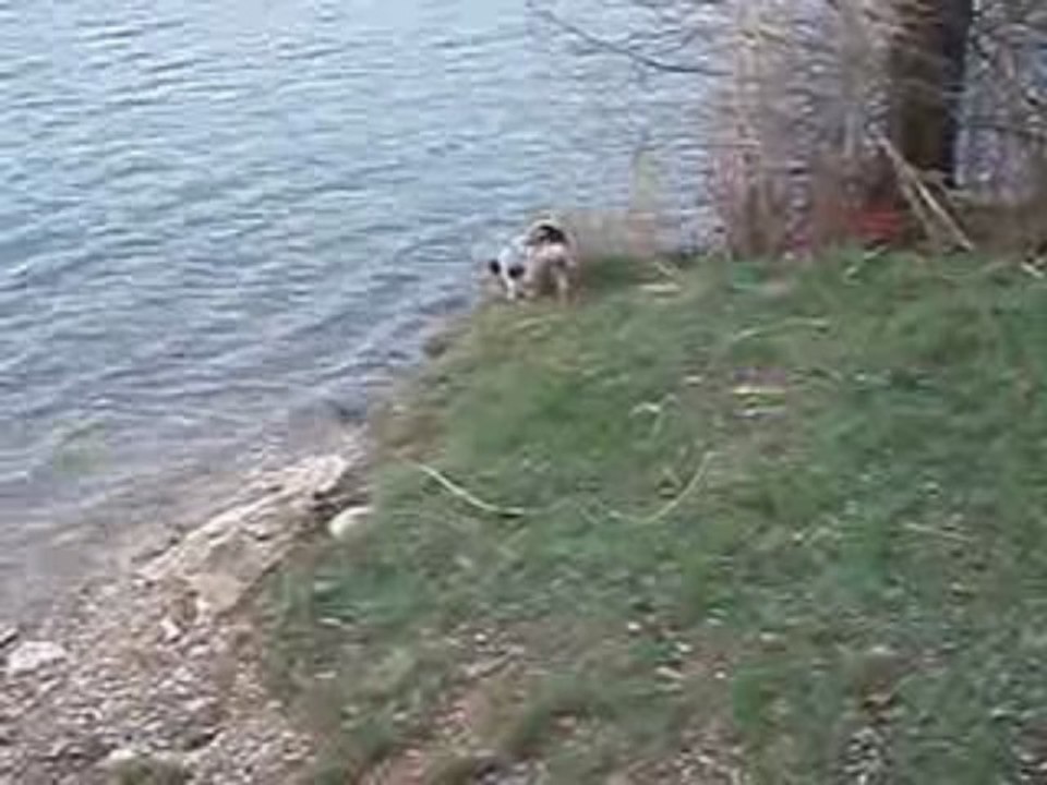 Estive découvre l'eau 1