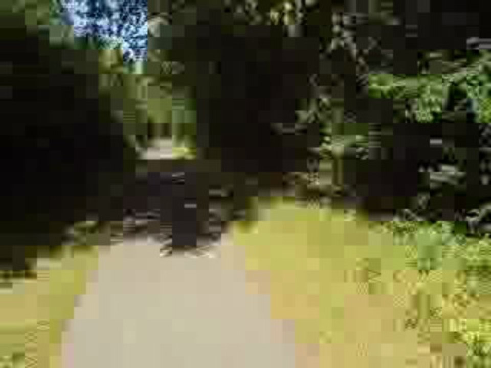 MOV00391