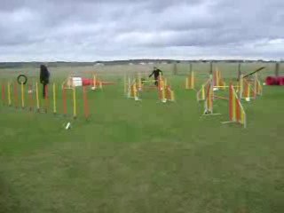 agility chelsea