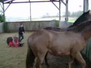 Thalya, et un p'tit coup de galop ^^