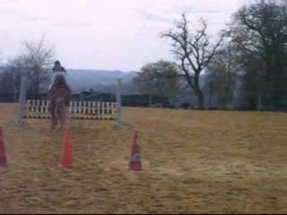 Cour du 21 novembre Presque chute