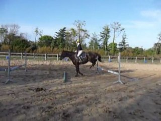 les début de mon PS en obstacle