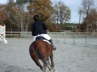 CSO 22 nov 09 cindy et loustic