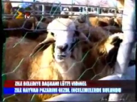 başkan vidinel malpazarında incelemelerde bulundu