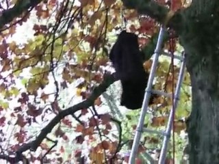 Sauvetage Chat - Demonstration Inspection 2009