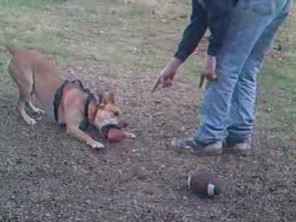 Woody and I practicing football