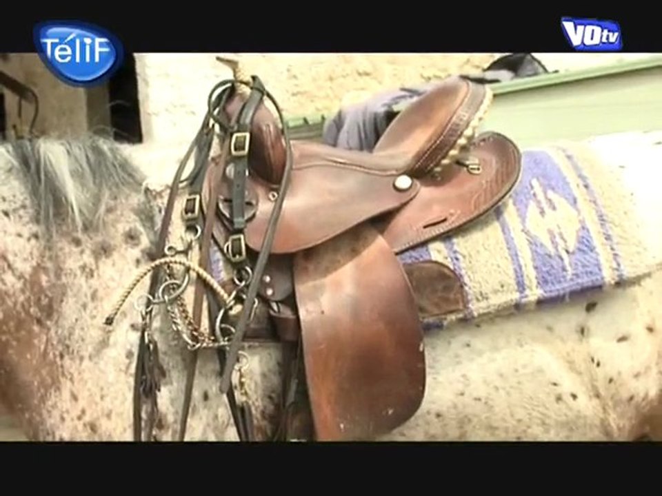 Barrel Racing au Ranch de Saint-Prix (Val d'Oise)