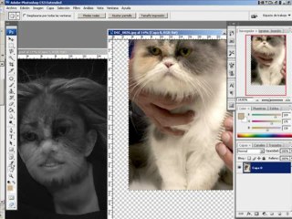 Mujer Gato con Adobe Photoshop CS3