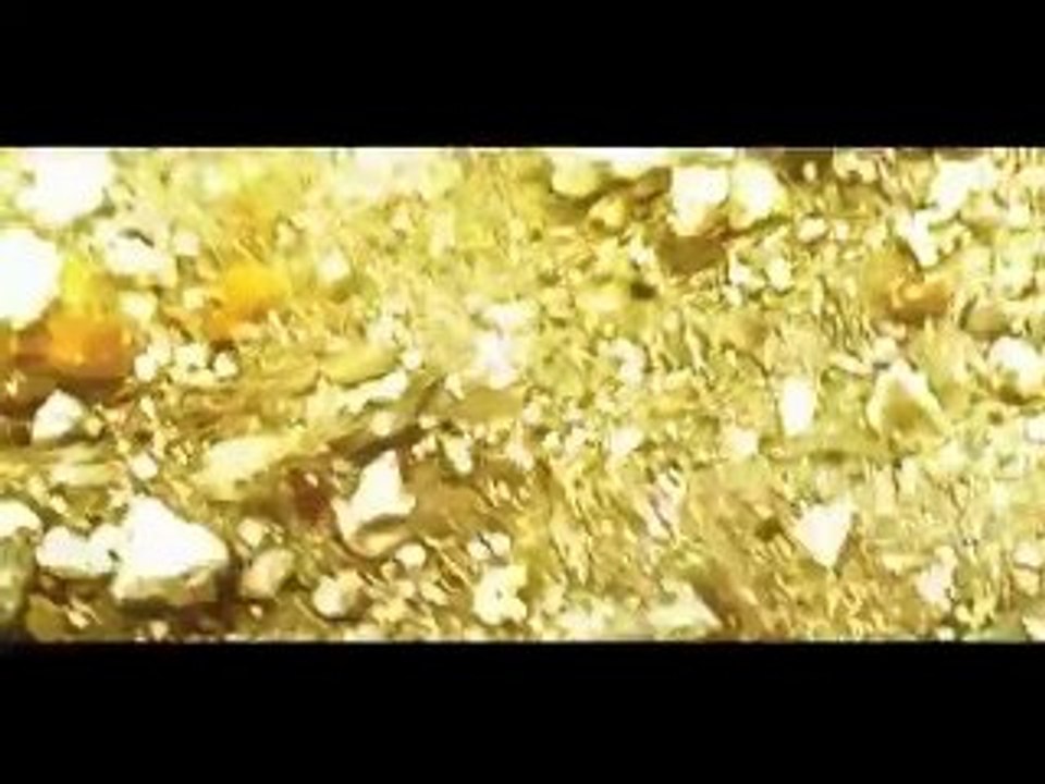 Mar Fogo Documentary