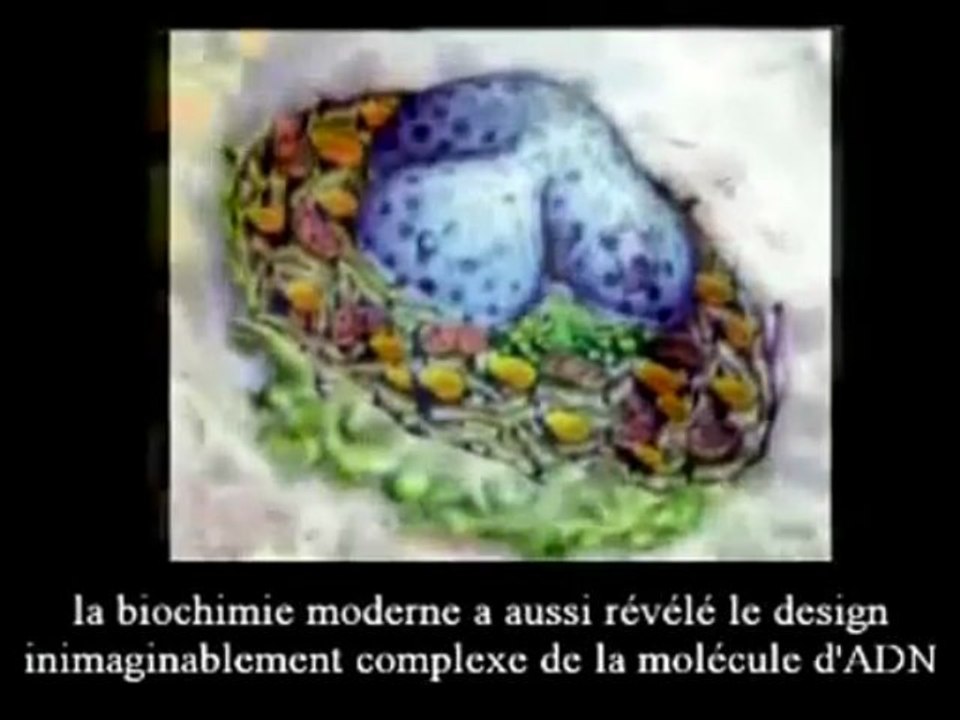 The Signs 38 La fin Du Darwinisme