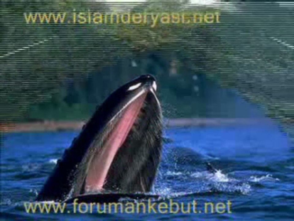 Canda cananımı incitme sakın  www.forumankebut.net