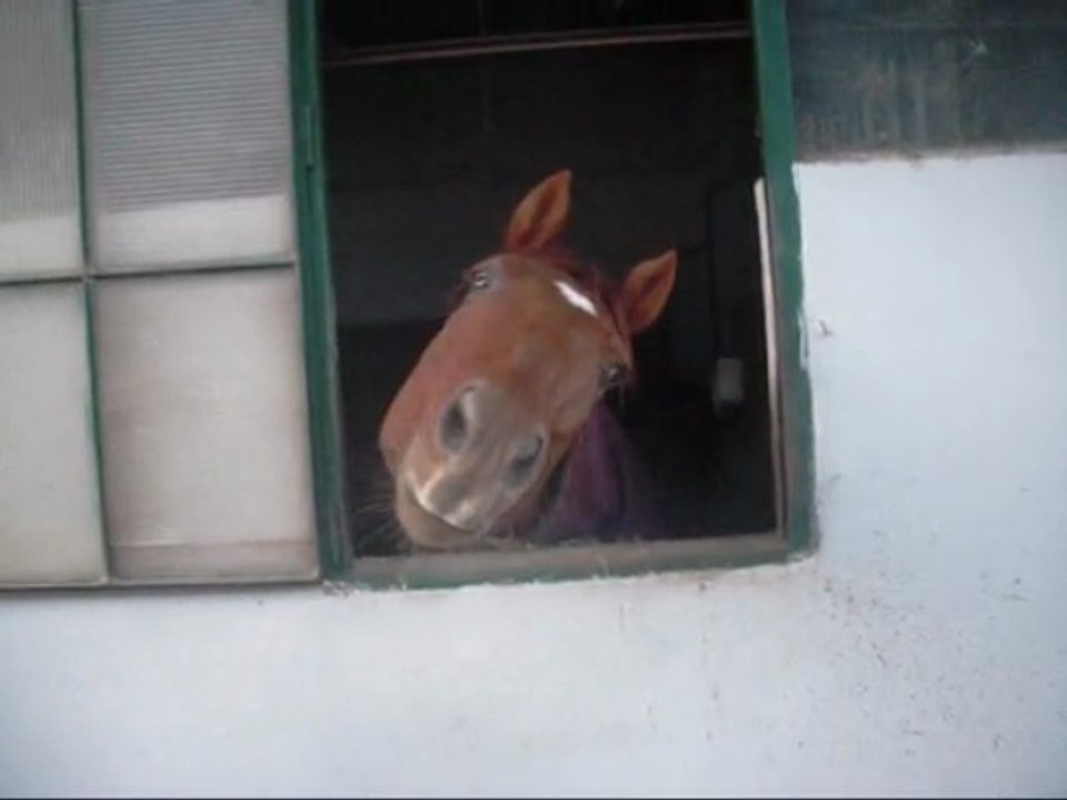 Quory le Quo...cker !