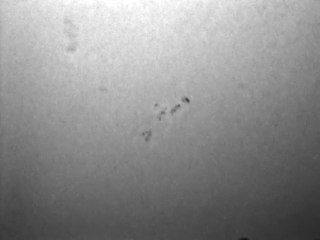 25 Octobre 2009 - Tâches solaires