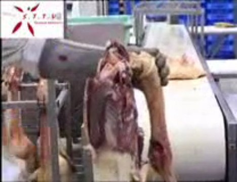 Pour le salons de Tarbes 2008