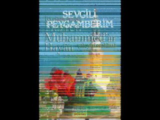 peygamber efendimiz sallalahualeyhivesellem hilye-i seadet 1