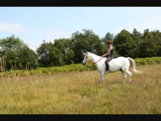 Quand le verbe "aimer" ne suffit plus ♥