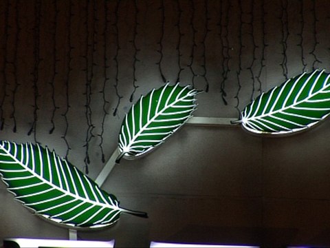 TULLE EXPO PHOTO AU CONSEIL GENERAL