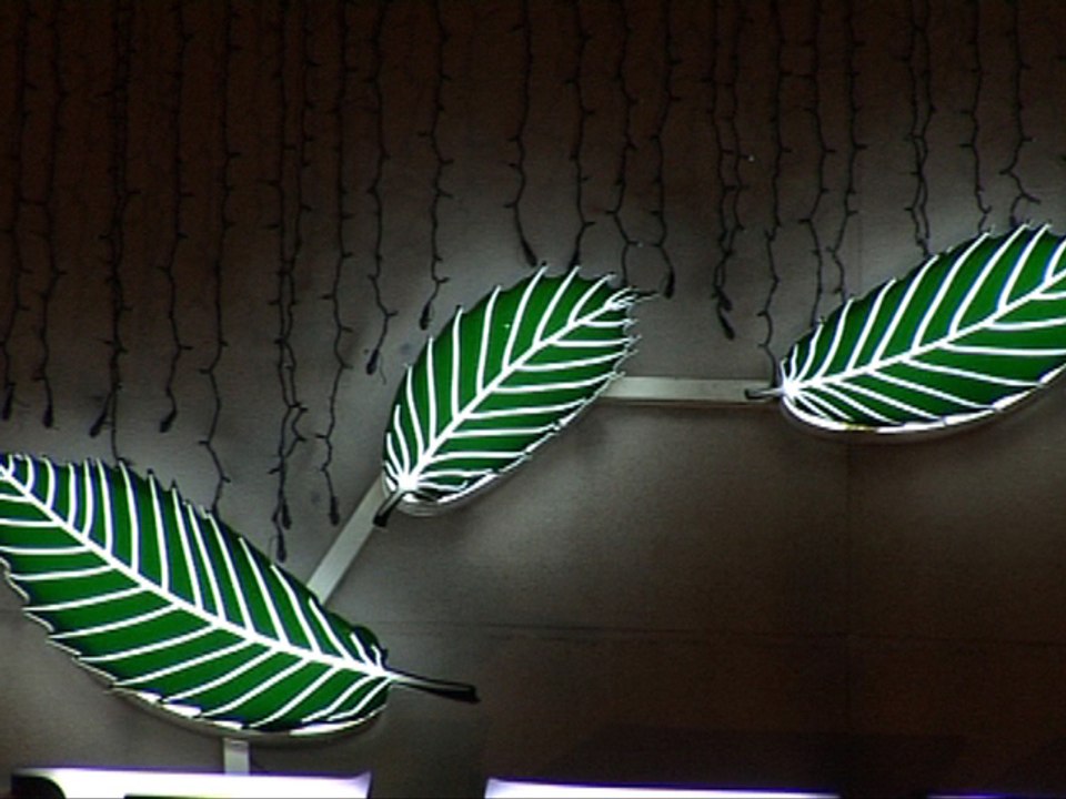 TULLE EXPO PHOTO AU CONSEIL GENERAL