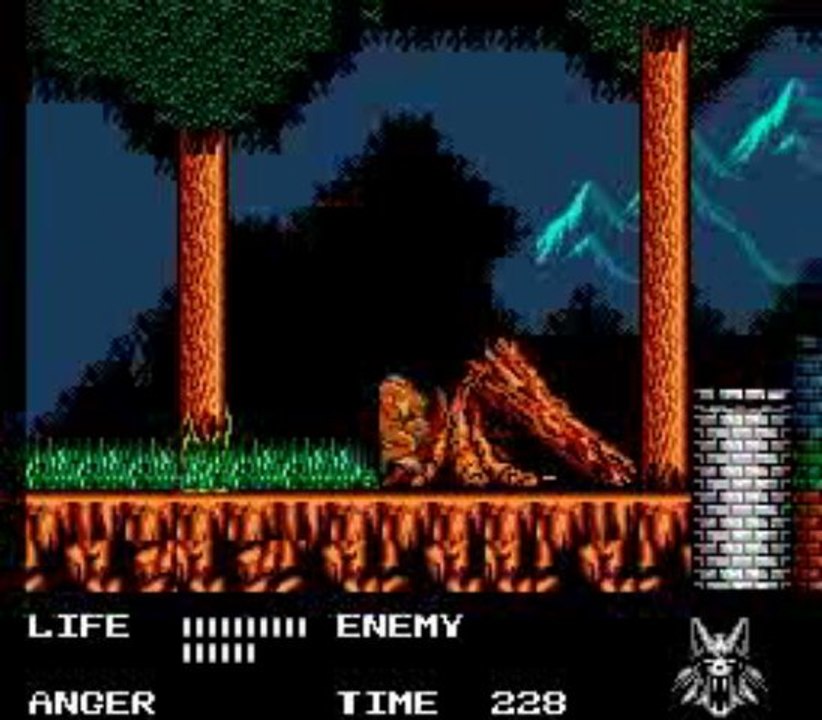 Werewolf - The Last Warrior (NES)