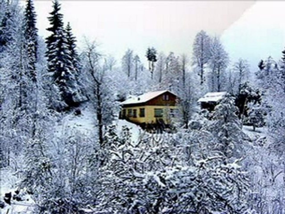 trabzon araklı yeşilce köyü.