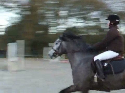 Rainbow , concours 29 novembre a Pont l'abbé , D4P