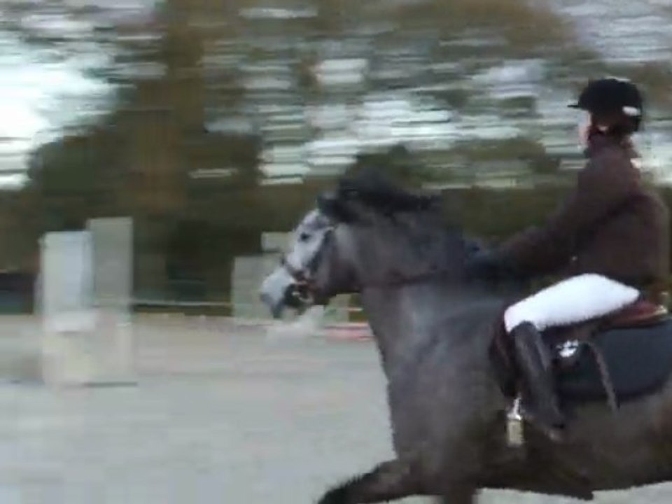 Rainbow , concours 29 novembre a Pont l'abbé , D4P