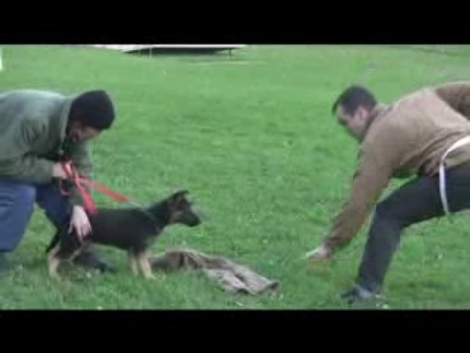 Eiko du Chateau Du Paradis