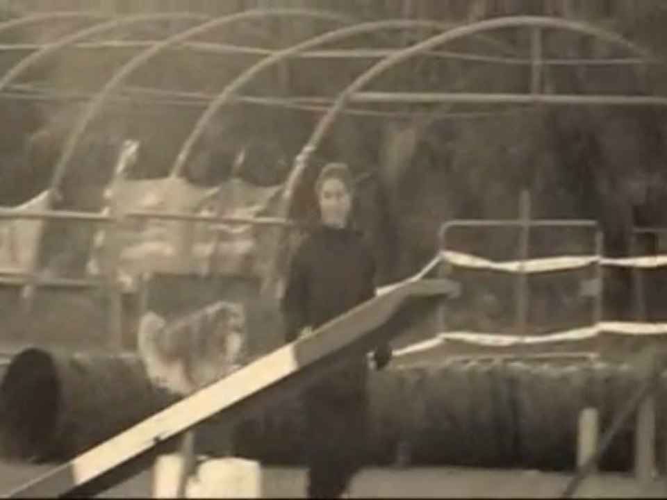 maya année 2009