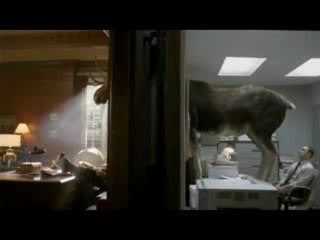 Need a new job ? Besoin d'un nouveau boulot?