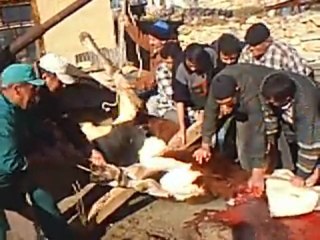 Yukarıçiğil de Kurban 2009