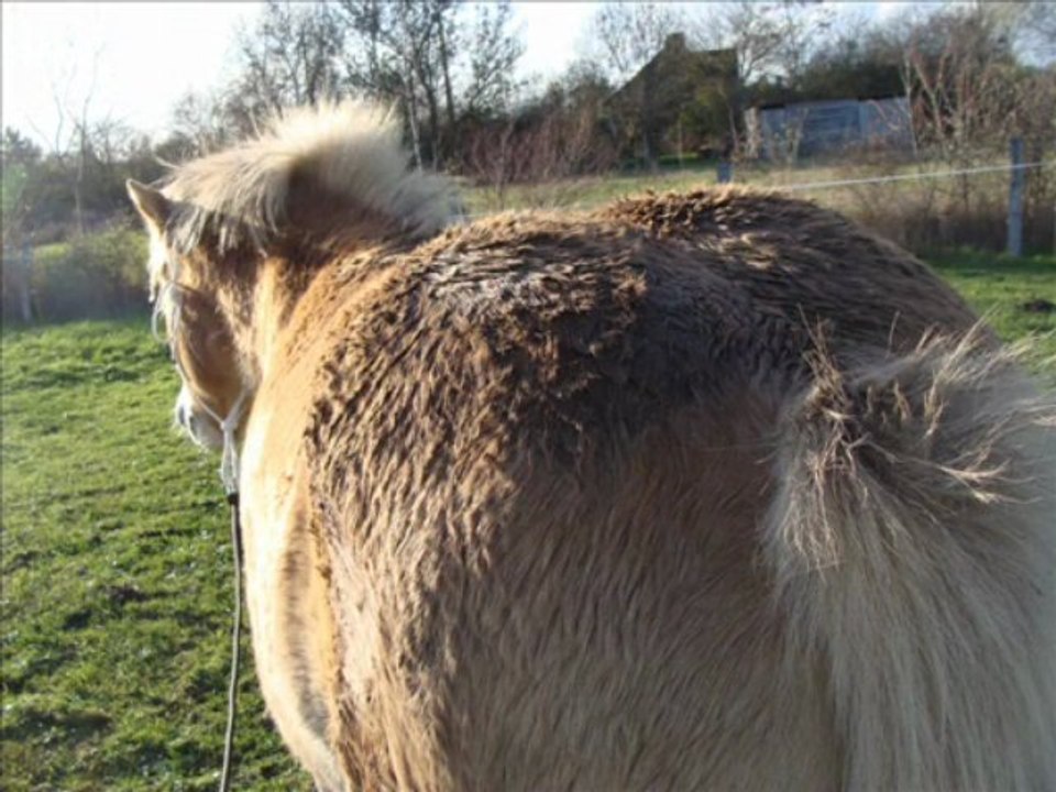 janou 29 novembre2009