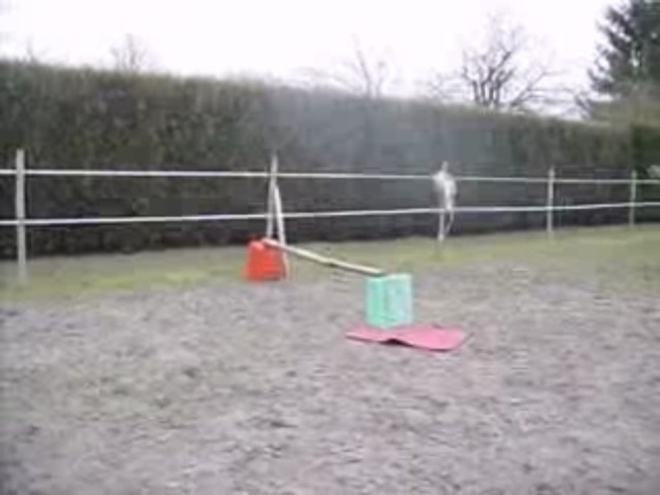 Saut - Moi et Nenette.