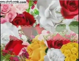 Grace Deeb Romance Song's