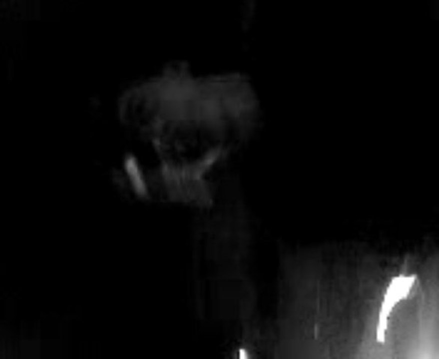 MOV00993