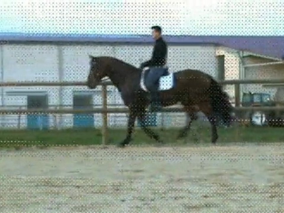 PRIMERO ENTIER PRE à 6 ans