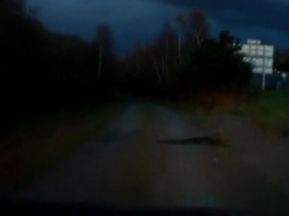 4x4 landrover discovery, pasasge dans une marre